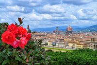 Florenz, Michelangelo, Webcard